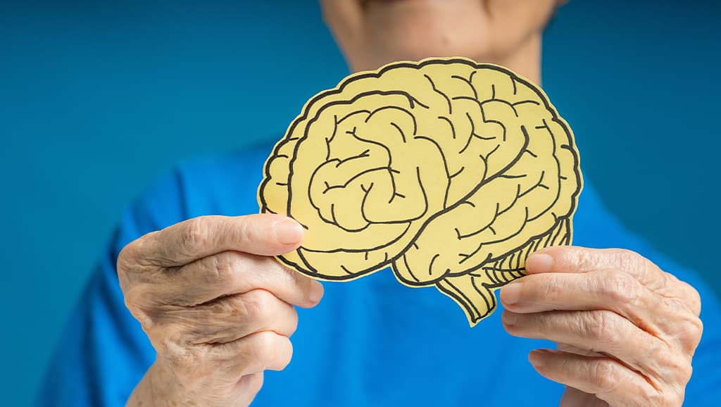 Scientific guide to mental clarity supplements showing brain health and cognitive enhancement